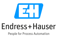 ENDRESS HAUSER
